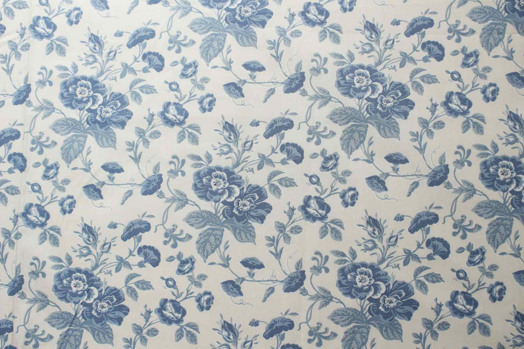 Jpi　Bleu De France　Mancini<br />パ-ル